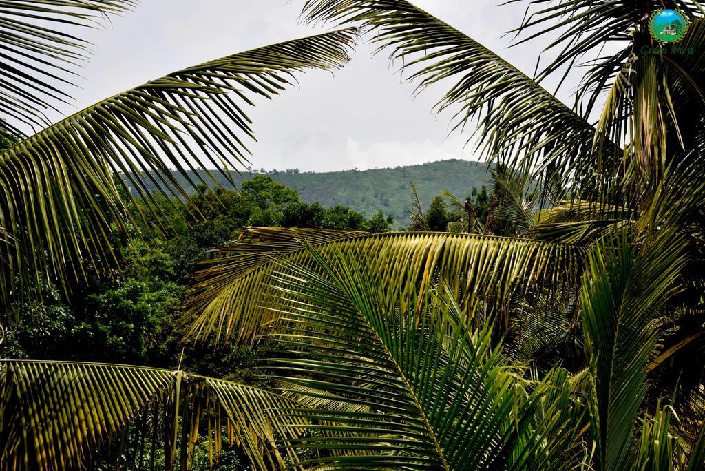 Green View Thekkady Exterior photo